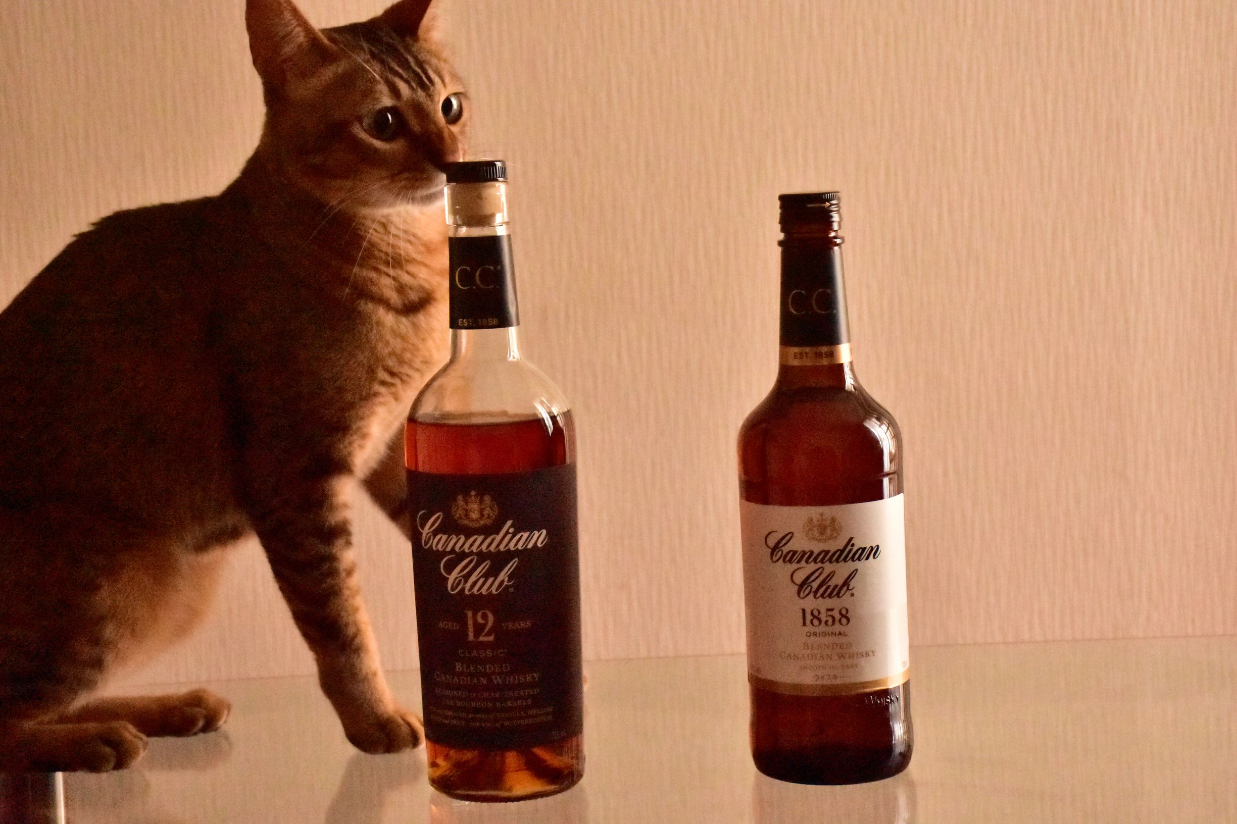 カナディアンクラブ 飲んでみた感想と評価 カナディアンウイスキーの歴史・特徴を深堀 - Whisky Cat